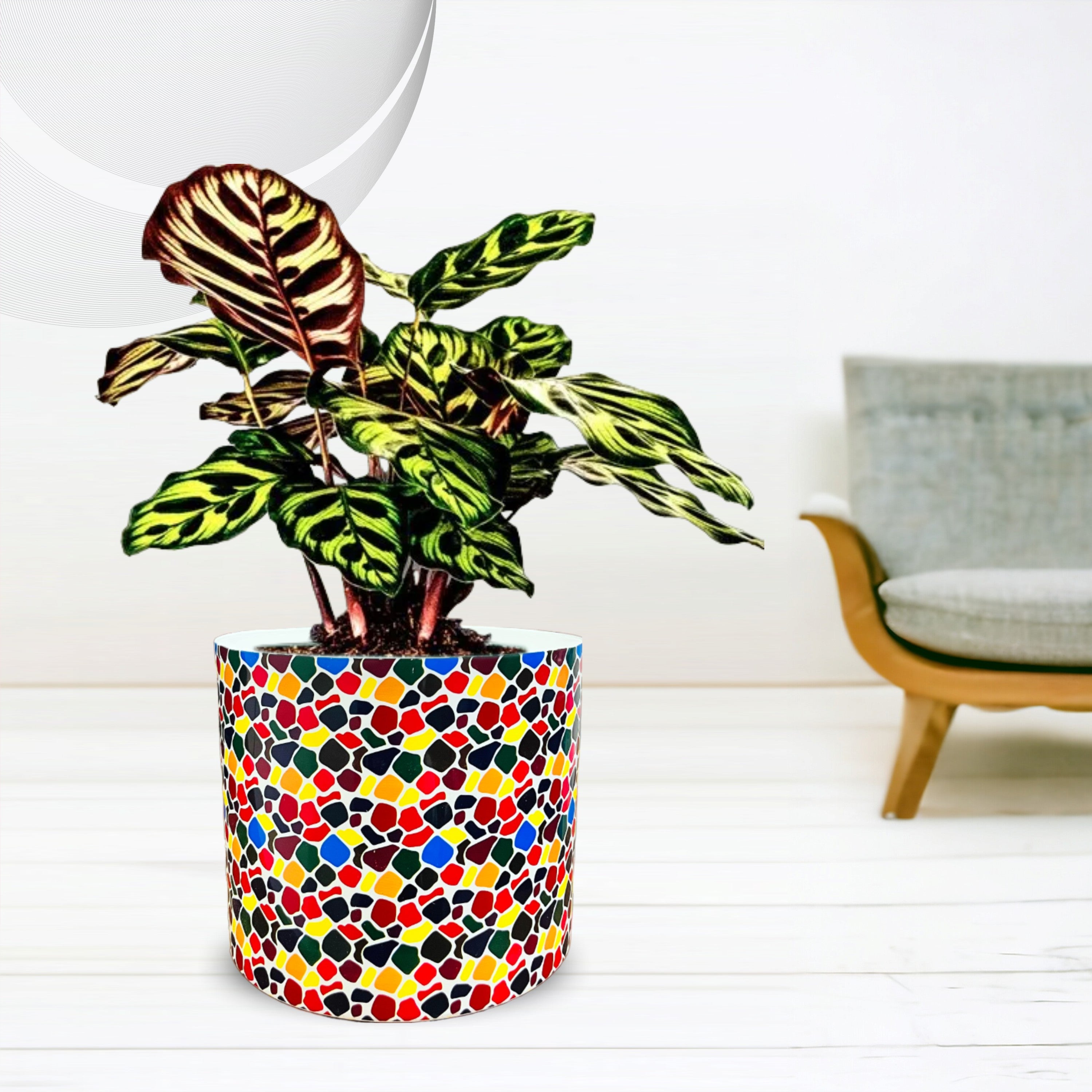 Malticolor PVC Plastic Pot 8 Inch