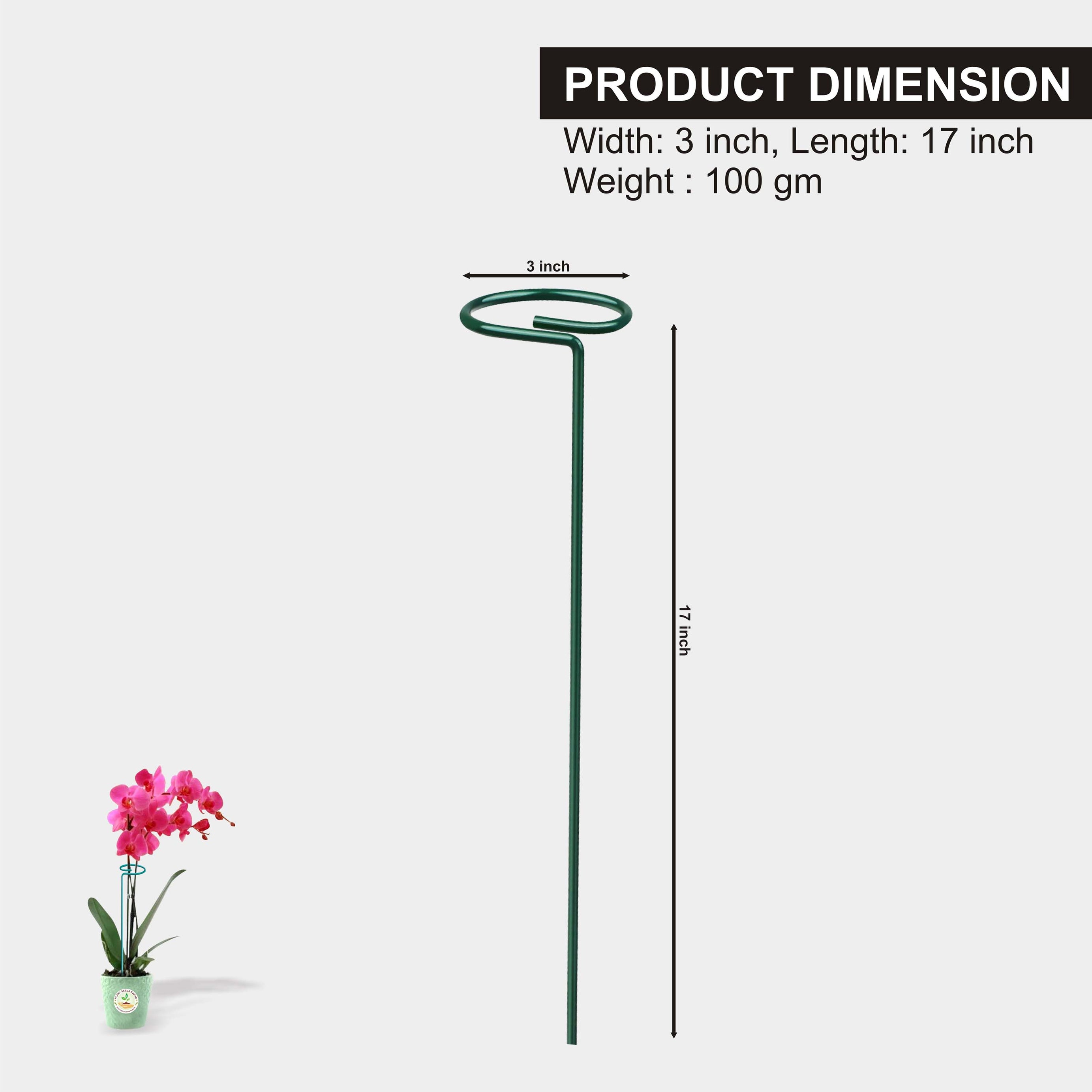 Garden Stakes - Metal Plant Sticks