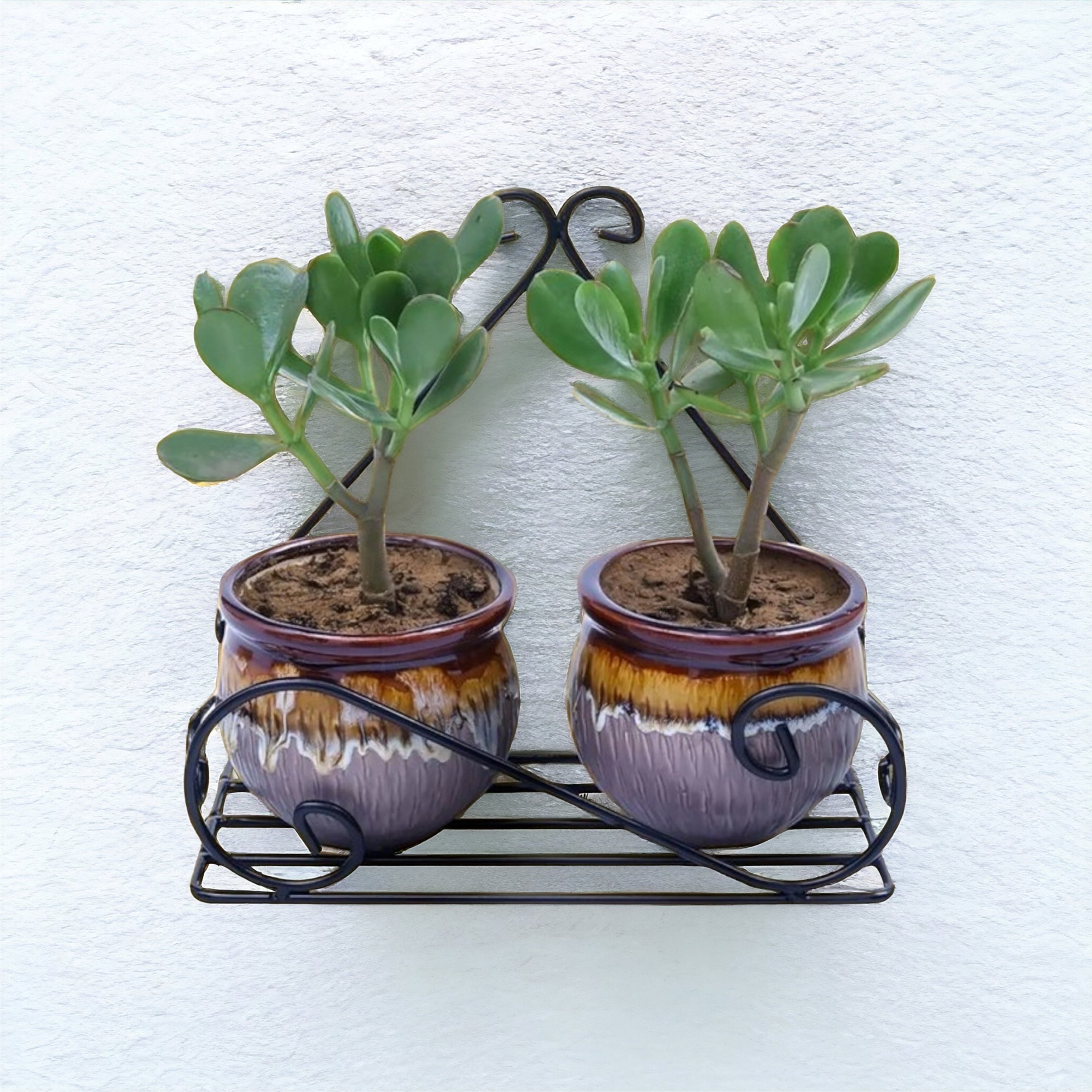 Wall Hanging Flower Pot Stand